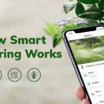 Read more about the article How Smart Watering Works